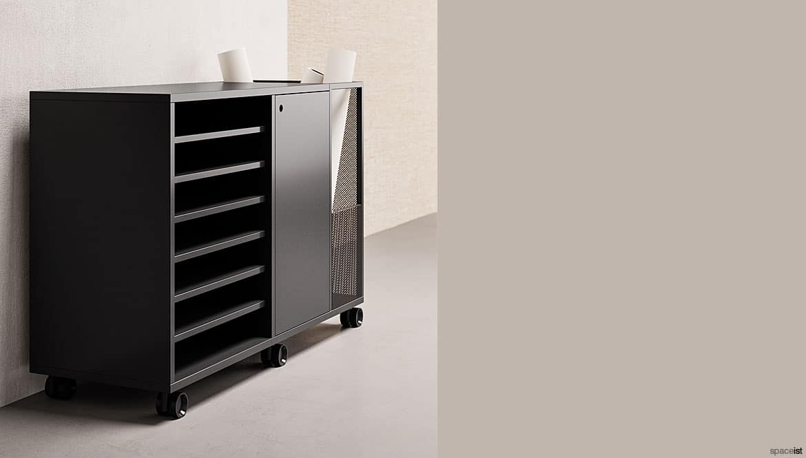 Black Cabinet with Shelves