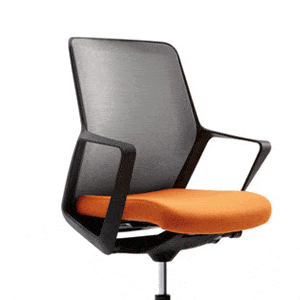 Features of an ergonomic office chair