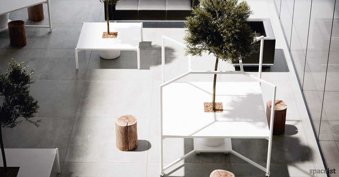 Hub white desk with tree growing