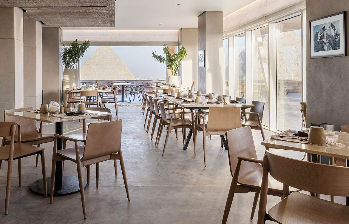 Pedrali Malmo light wood chair