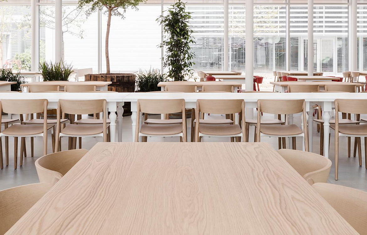 Light wood cafe or staffroom chair