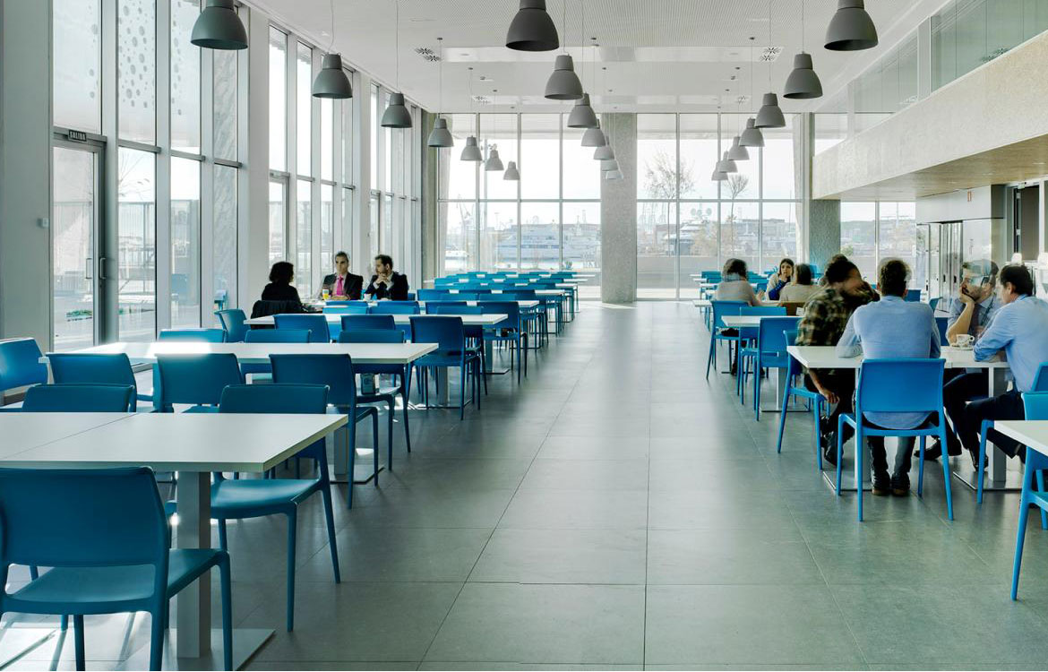 Pedrali Ara blue staffroom canteen chairs