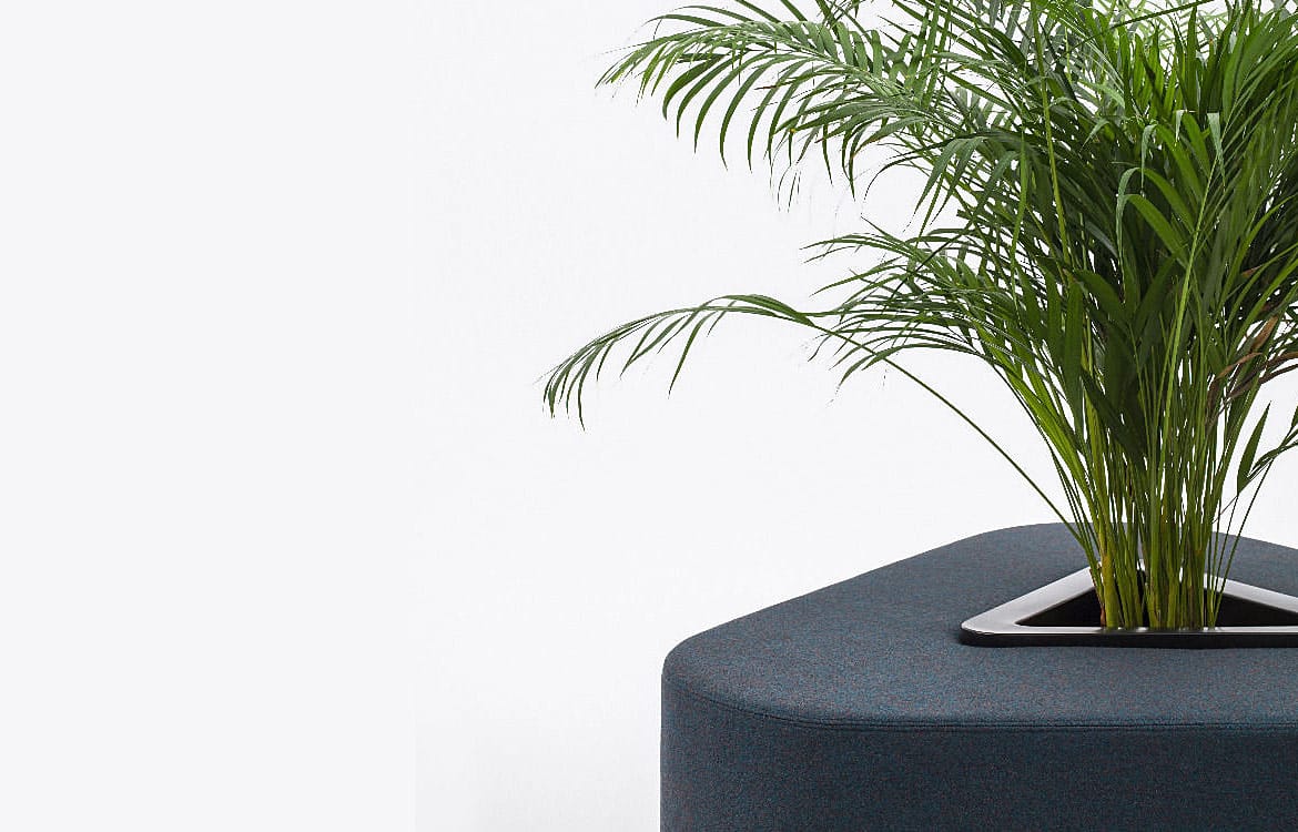 Plant pot closeup