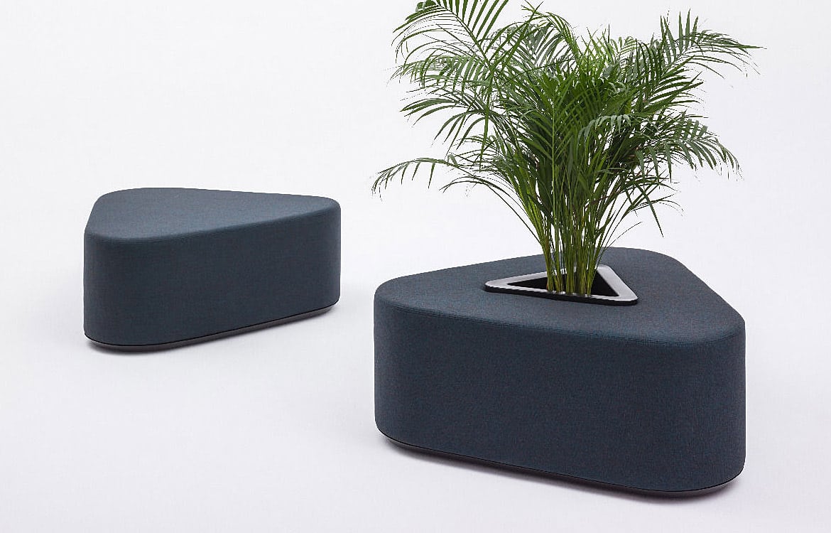 School seating with plant
