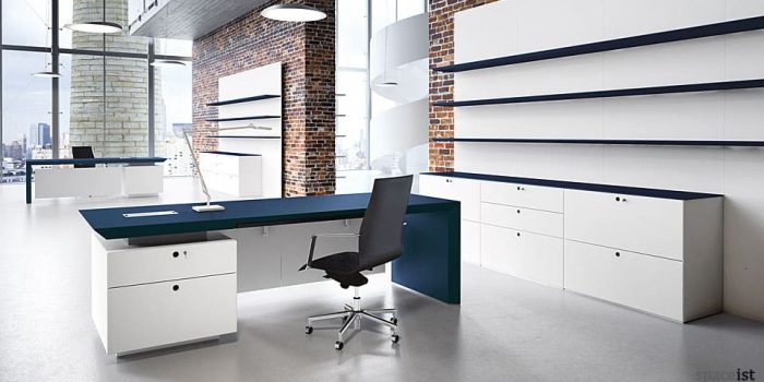 CEO blue directors desk