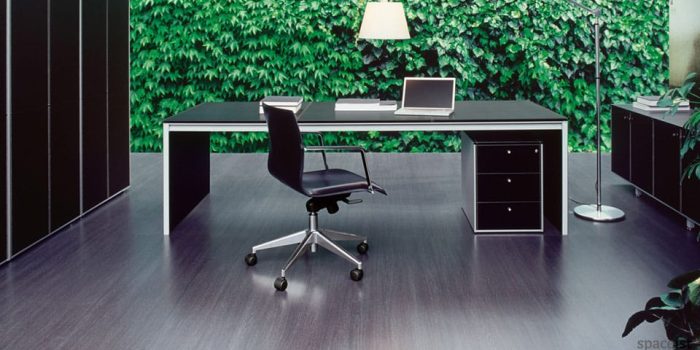corium leather exeutive desks
