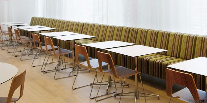 studio walnut modern cafe chairs
